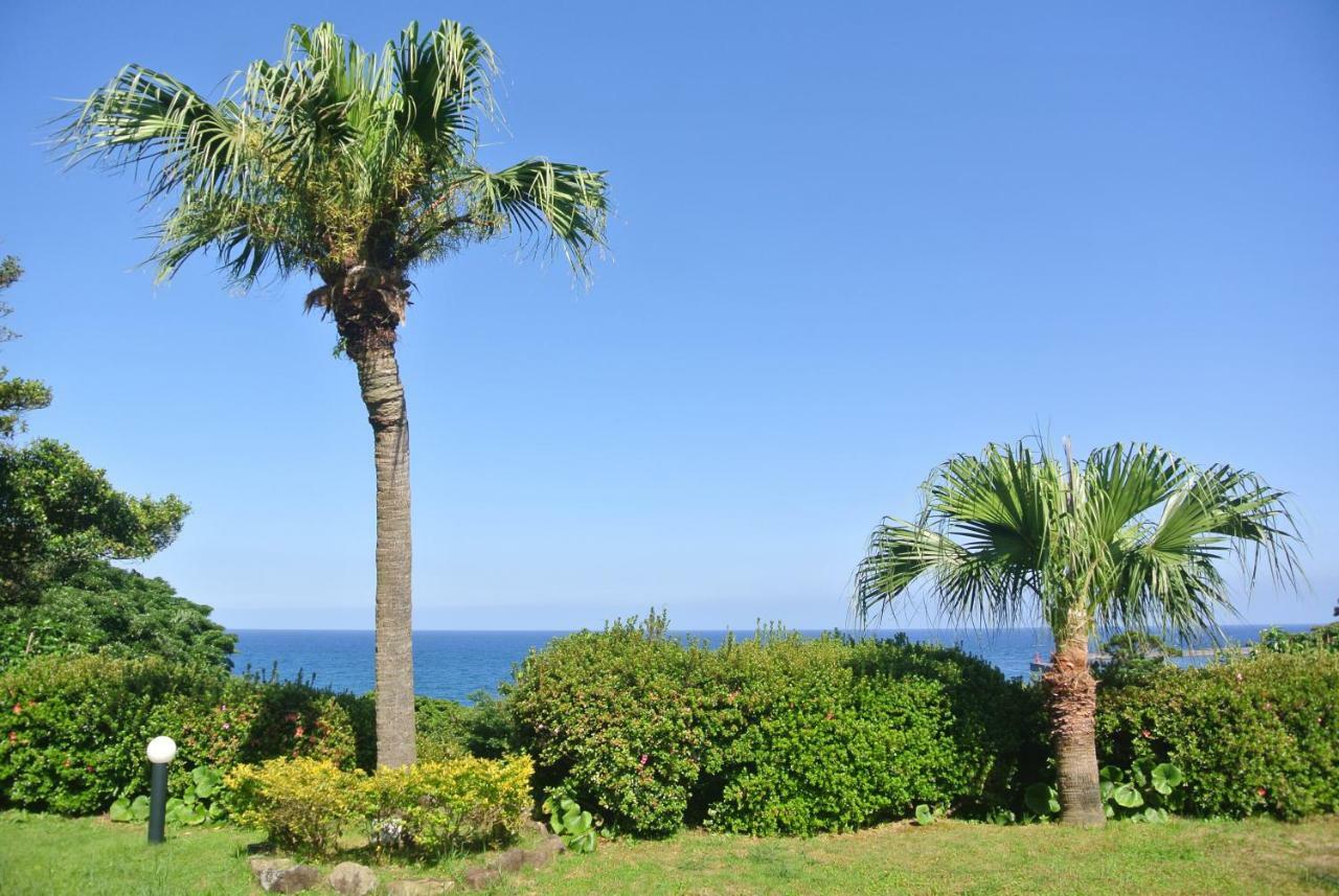 Yakushima Green Hotel Extérieur photo